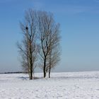 Winter in Würzberg