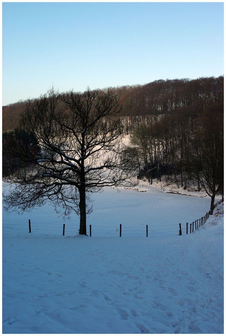 Winter in Wuppertal