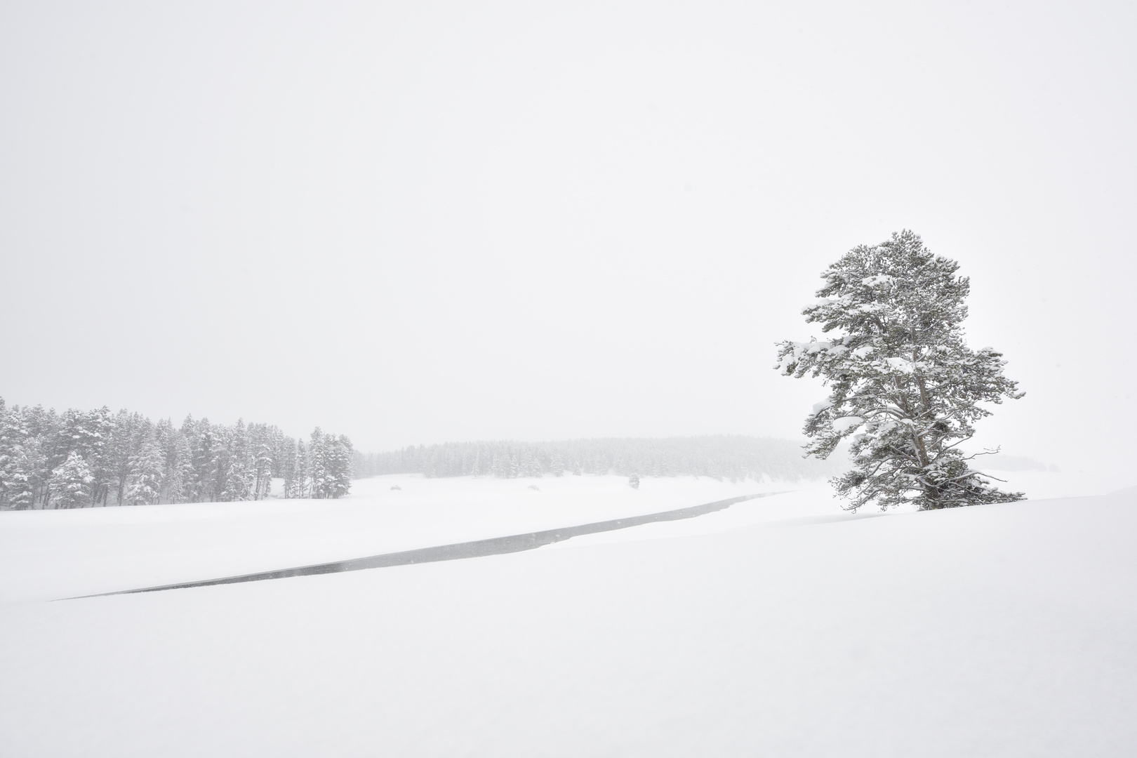 Winter in Yellowstone 2017/1