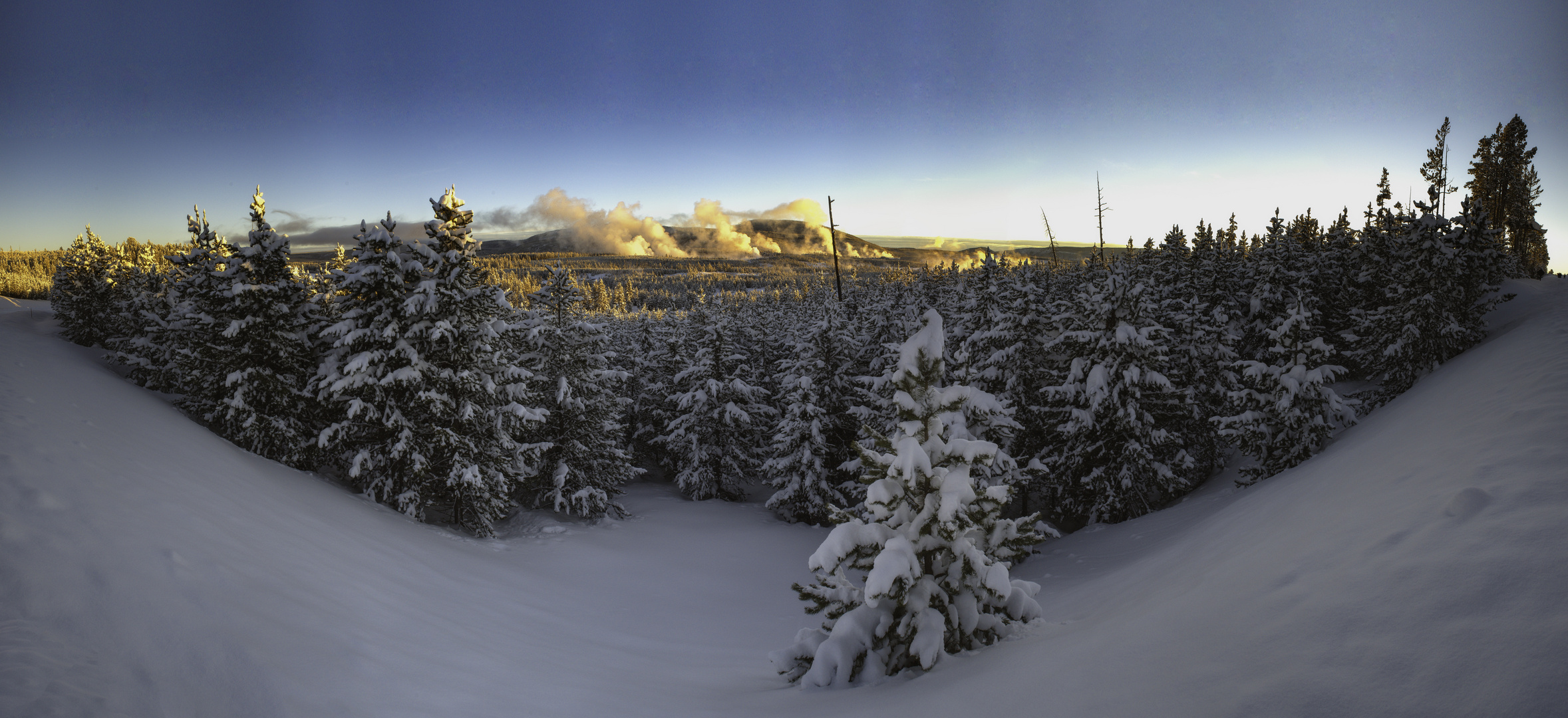 Winter in Yellowstone 2017/4