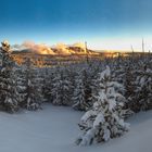 Winter in Yellowstone 2017/4