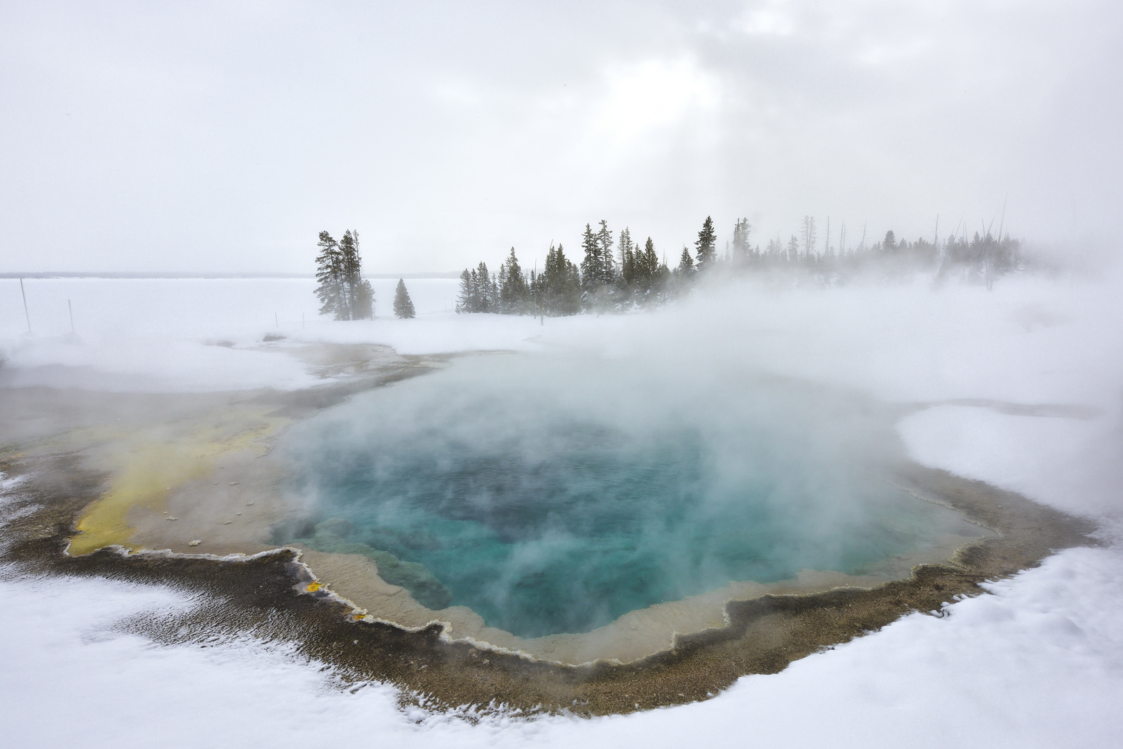 Winter in Yellowstone 2017/5