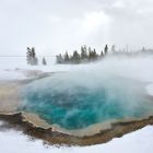 Winter in Yellowstone 2017/5