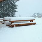 Winter in Zakopane (Polen)