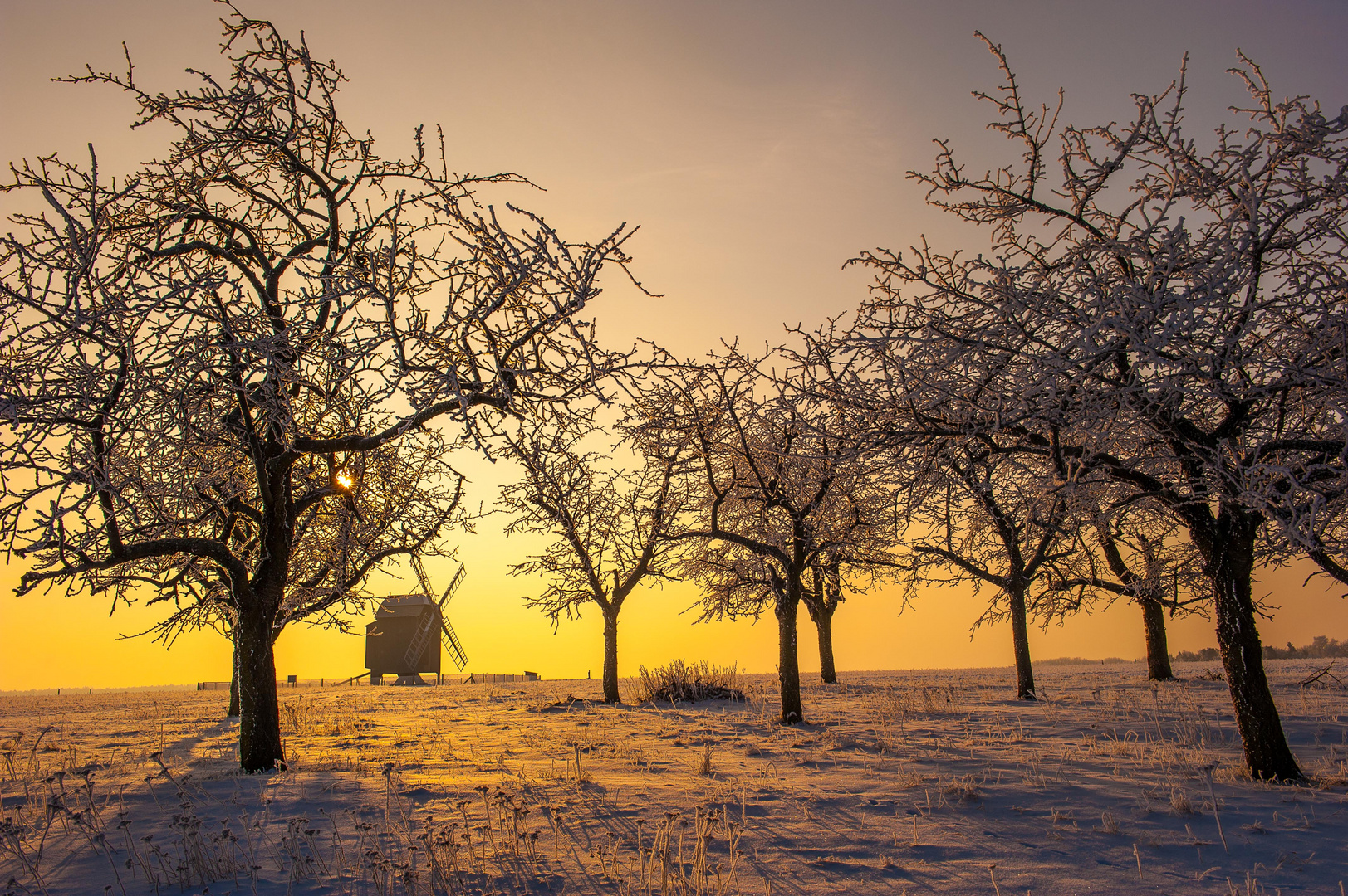 Winter in Zeuckritz