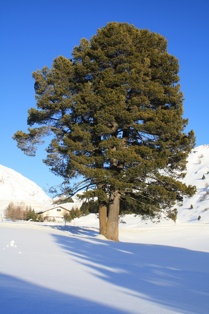 Winter in Zouz