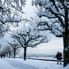 Winter in Zürich