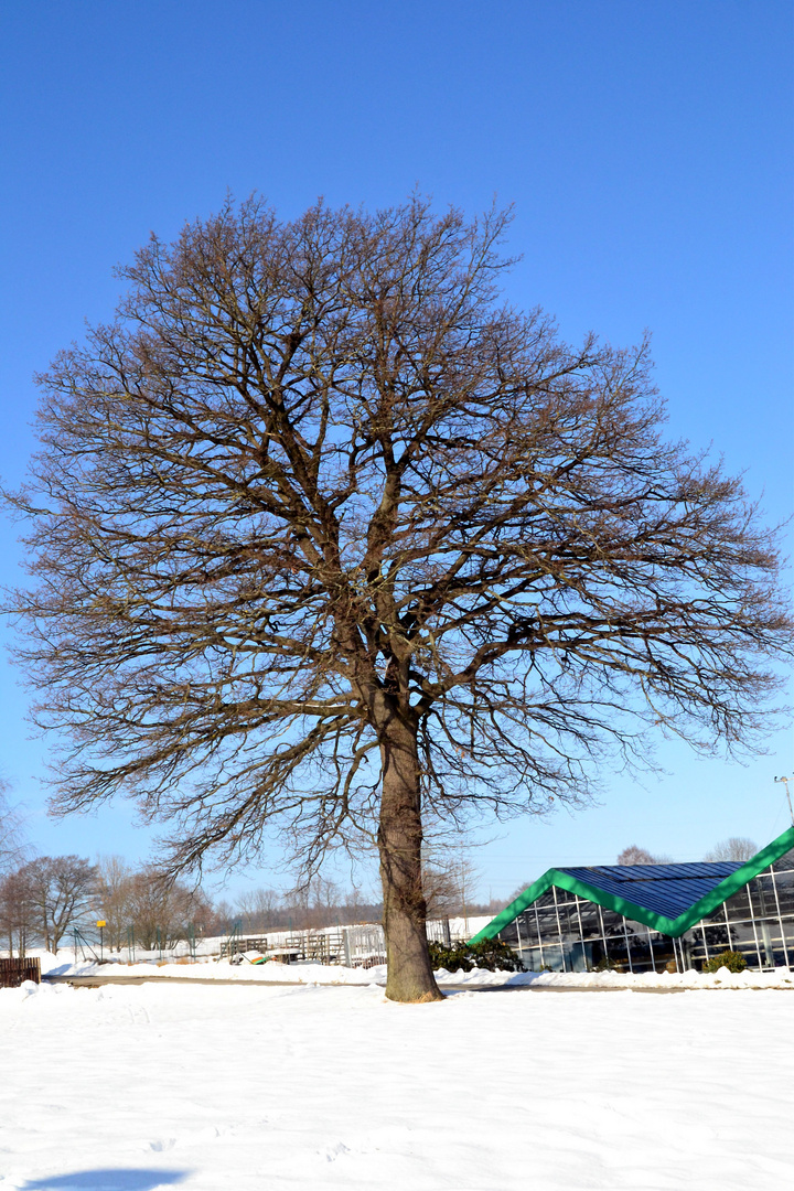 Winter in Zwönitz...