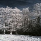 Winter Infrarot Fotografie