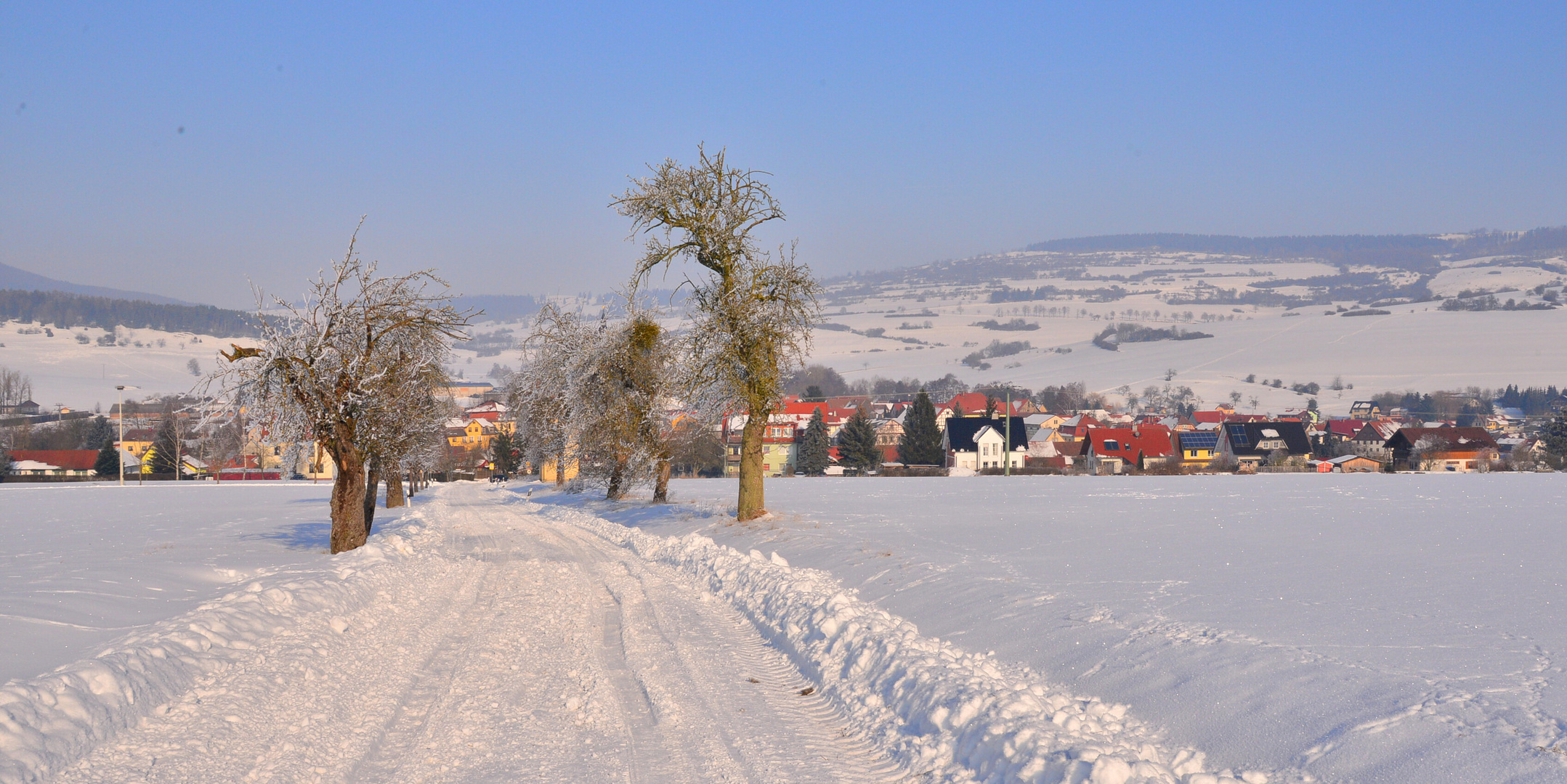 Winter (invierno)