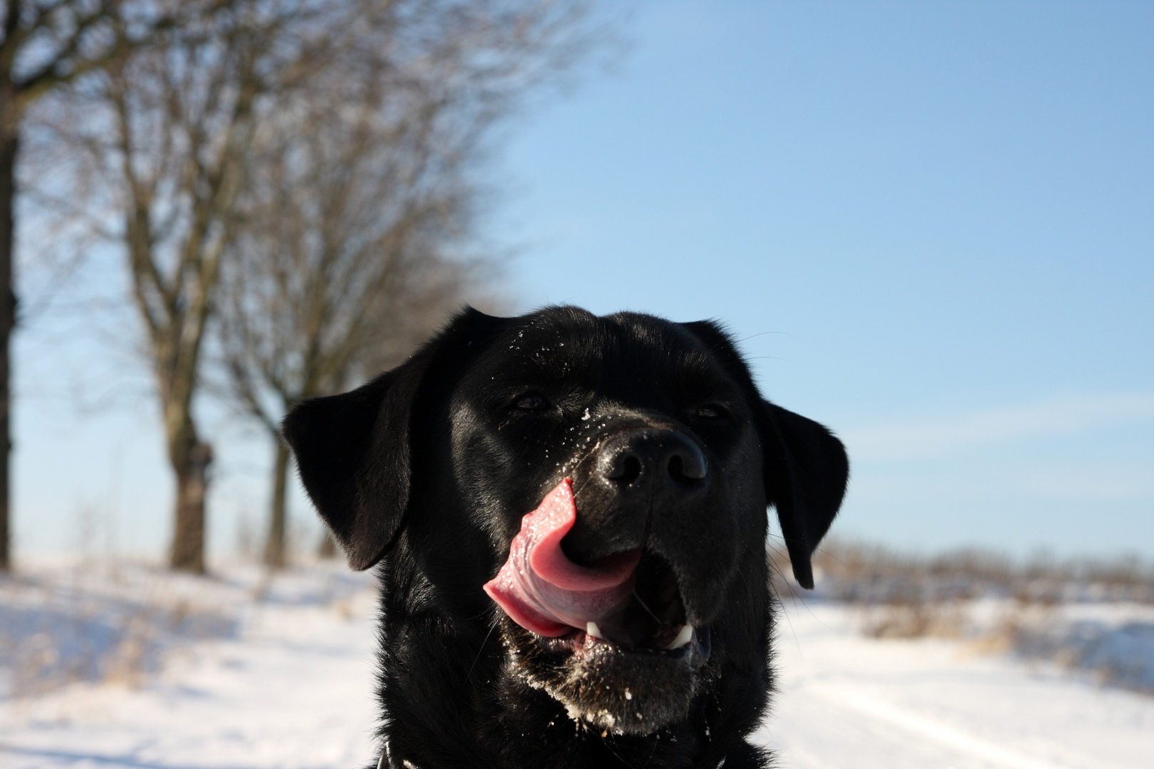 Winter is lecker