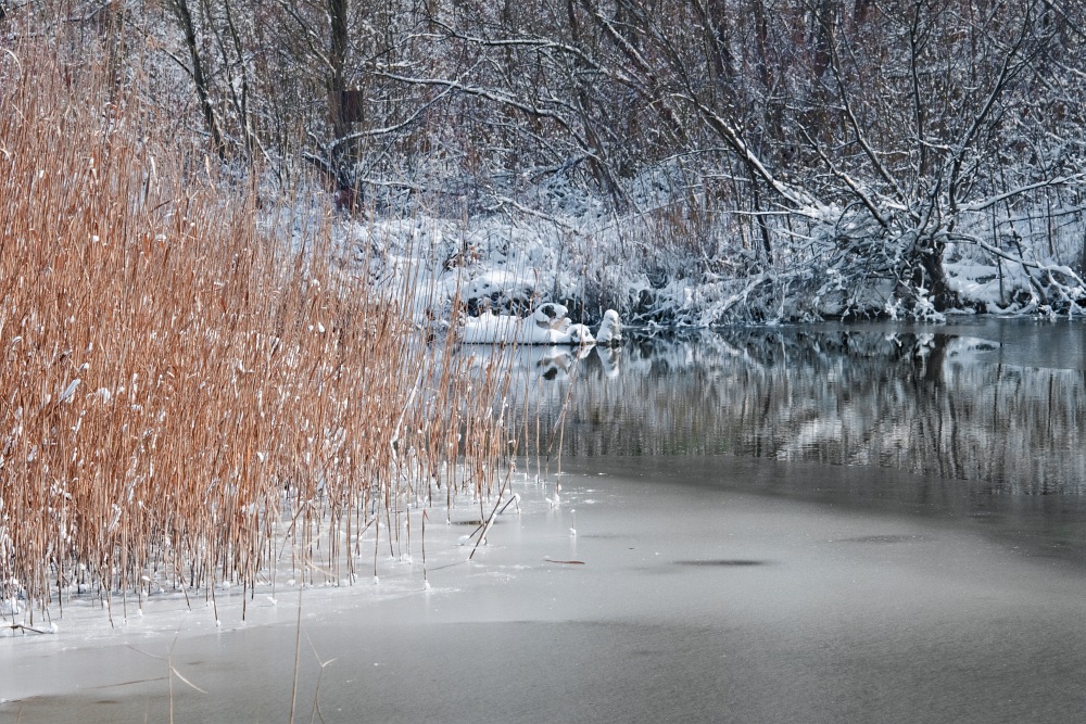 Winter is zurueck ...