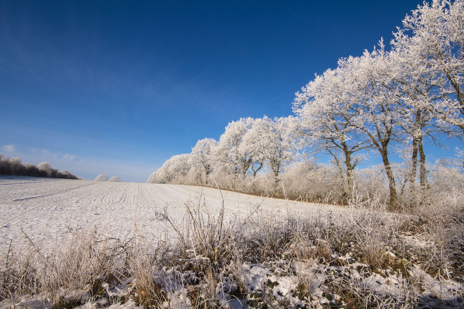 Winter ist auch schön, manchmal