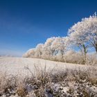 Winter ist auch schön, manchmal