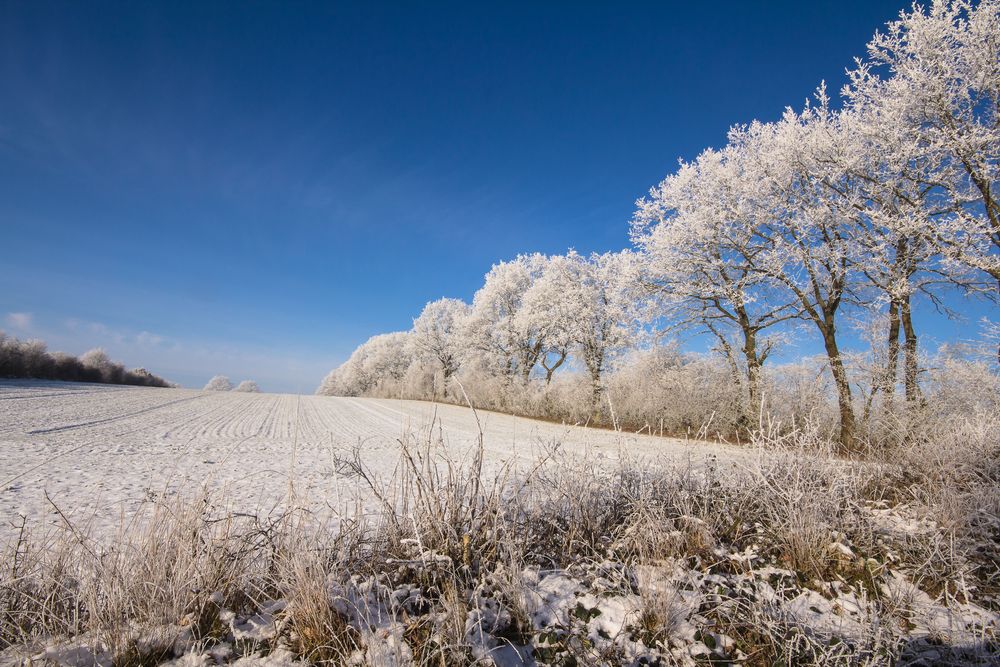 Winter ist auch schön, manchmal