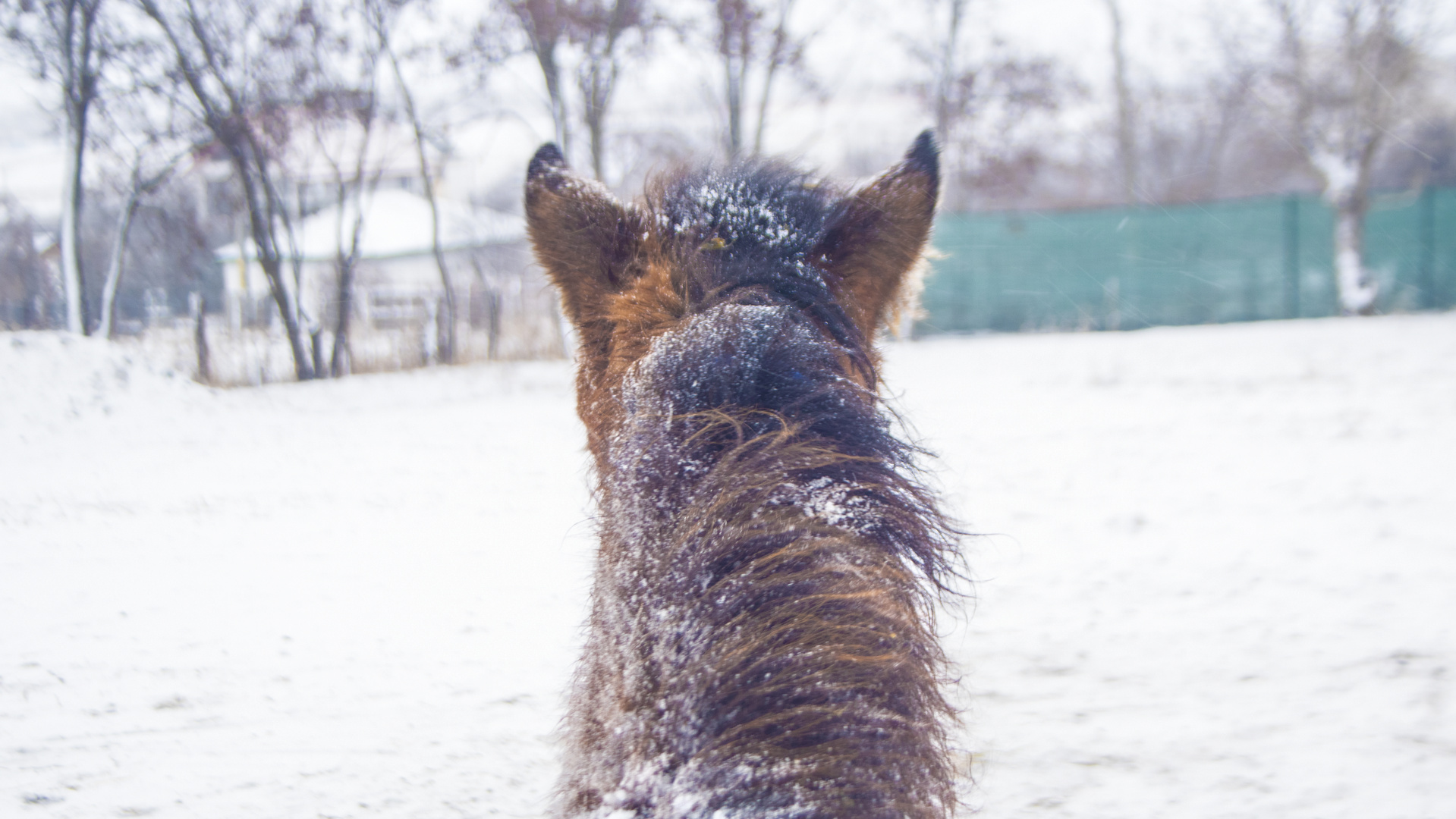 Winter ist da !