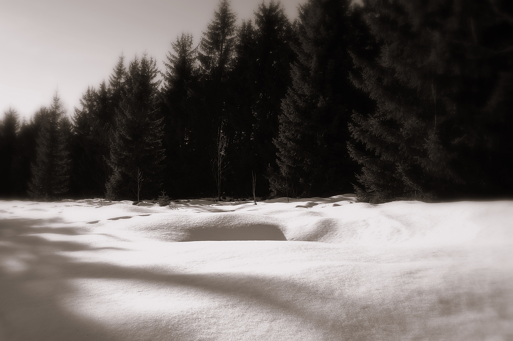 Winter ist genau so langweilig wie Sommer, oder?