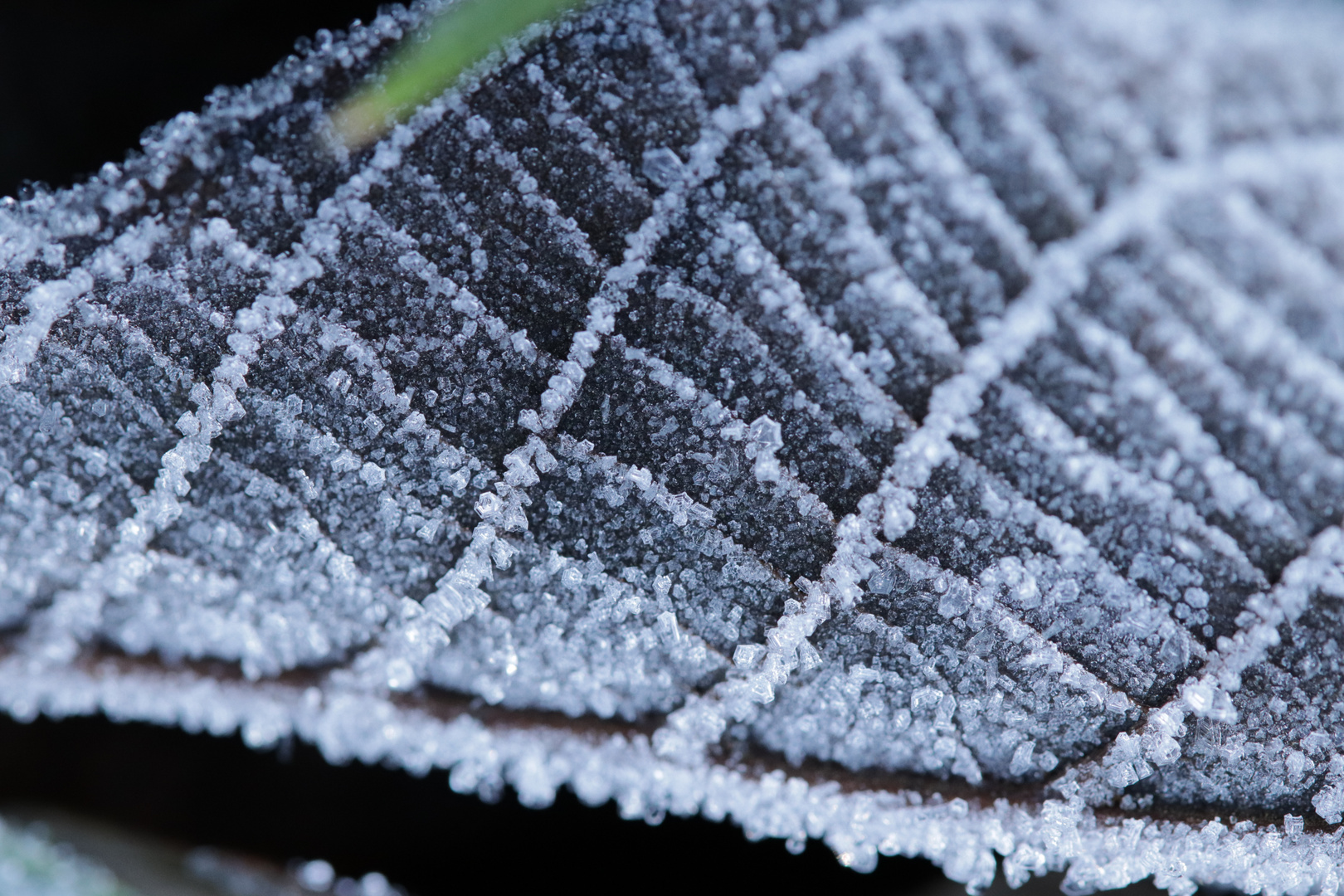 Winter ist schön