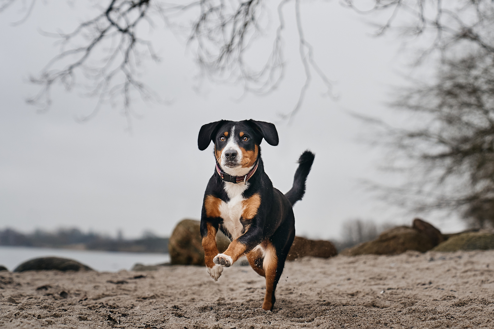 Winter ist Strandzeit!