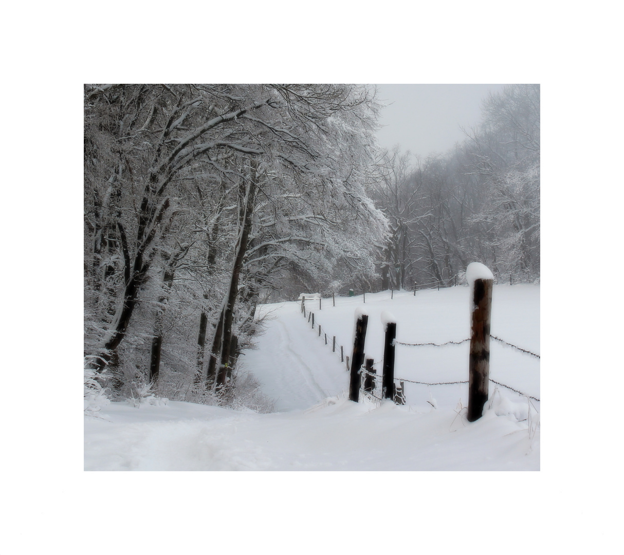 Winter (IV)...