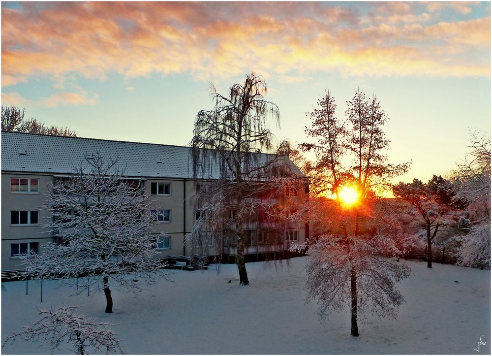 Winter Januar 2019 Blick aus meinem Fenster bei
