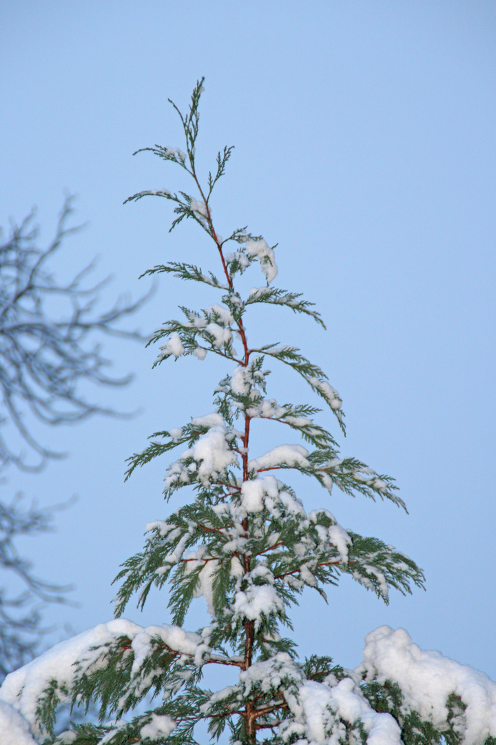 Winter , jetzt ist er da