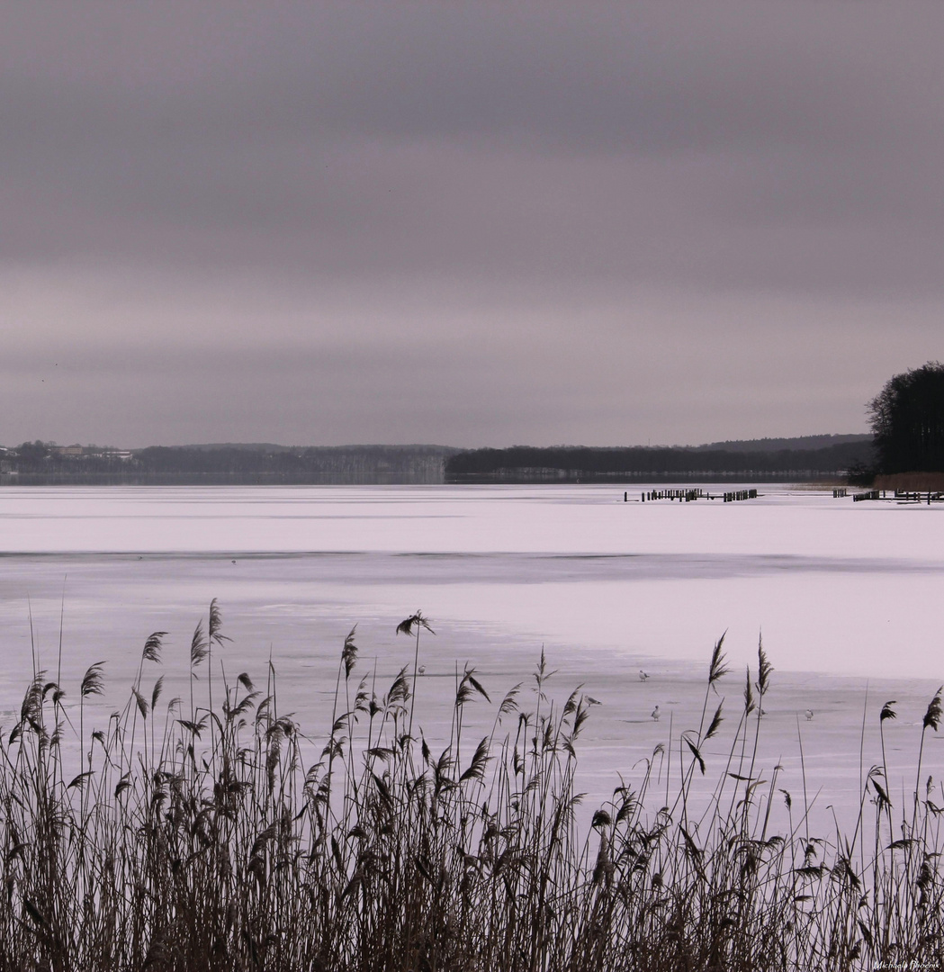 Winter Journey