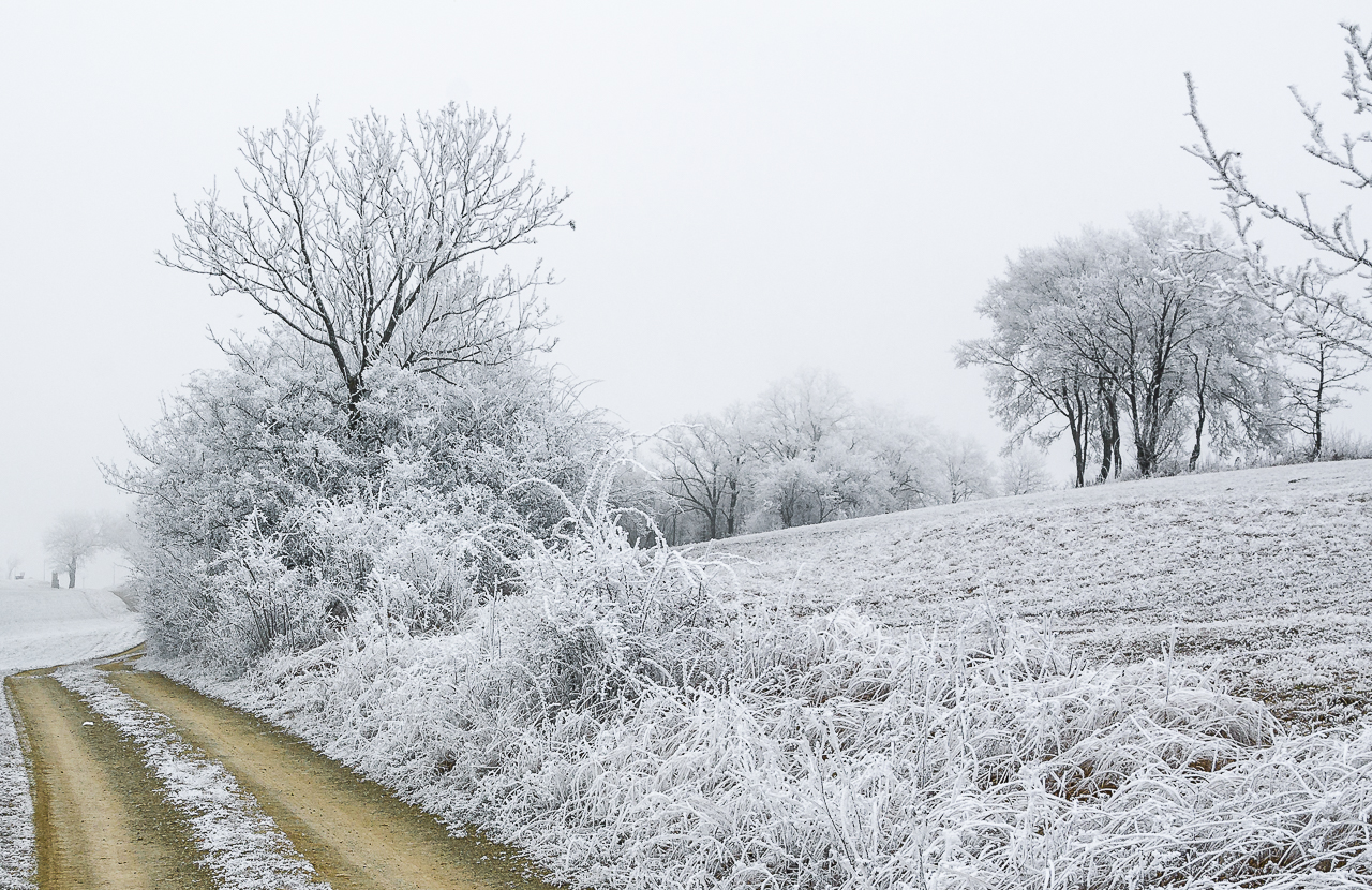 Winter Kälte