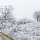 Winter Kälte