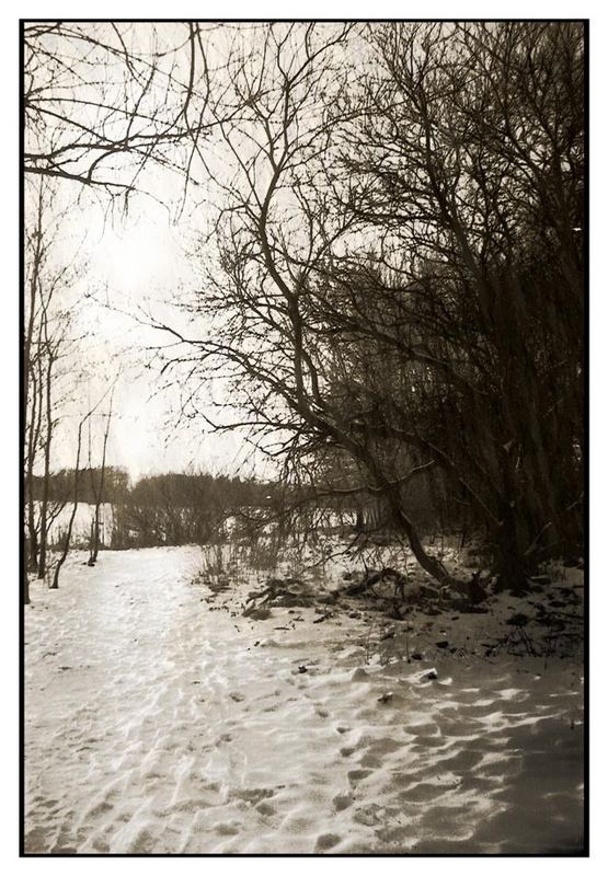 Winter - kalt - langweilig - schönes Bild