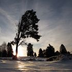 Winter kann auch mit Schnee schön sein ;-)