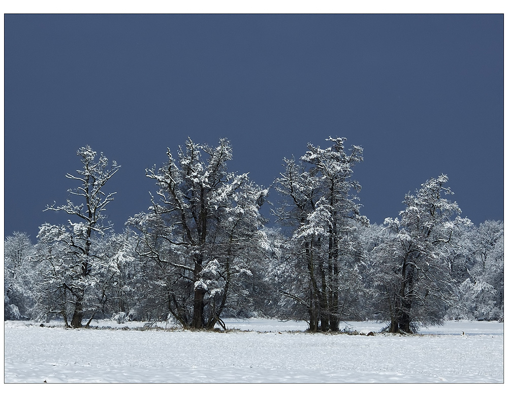 Winter kann auch schön