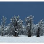 Winter kann auch schön