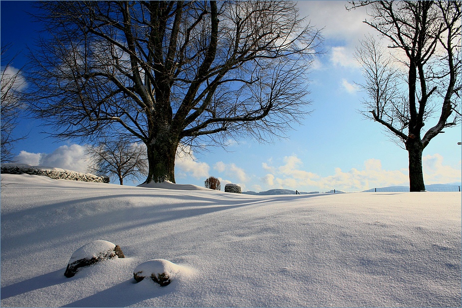 winter kann auch schön sein...