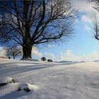 winter kann auch schön sein...