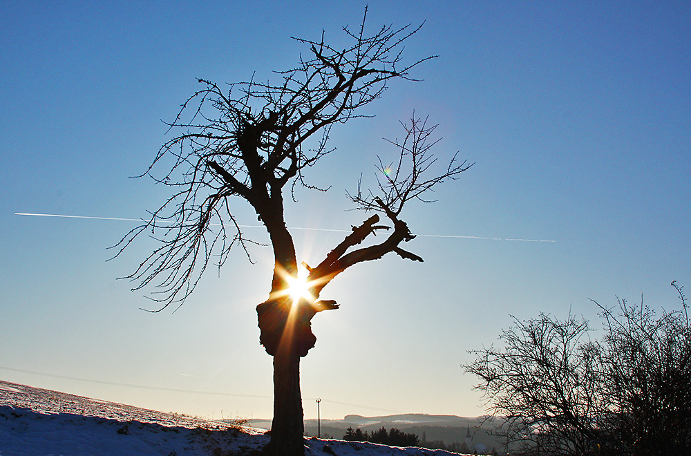 Winter kann auch schön sein...