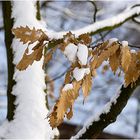 Winter kann auch schön sein...