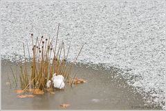 Winter kann auch schön sein!