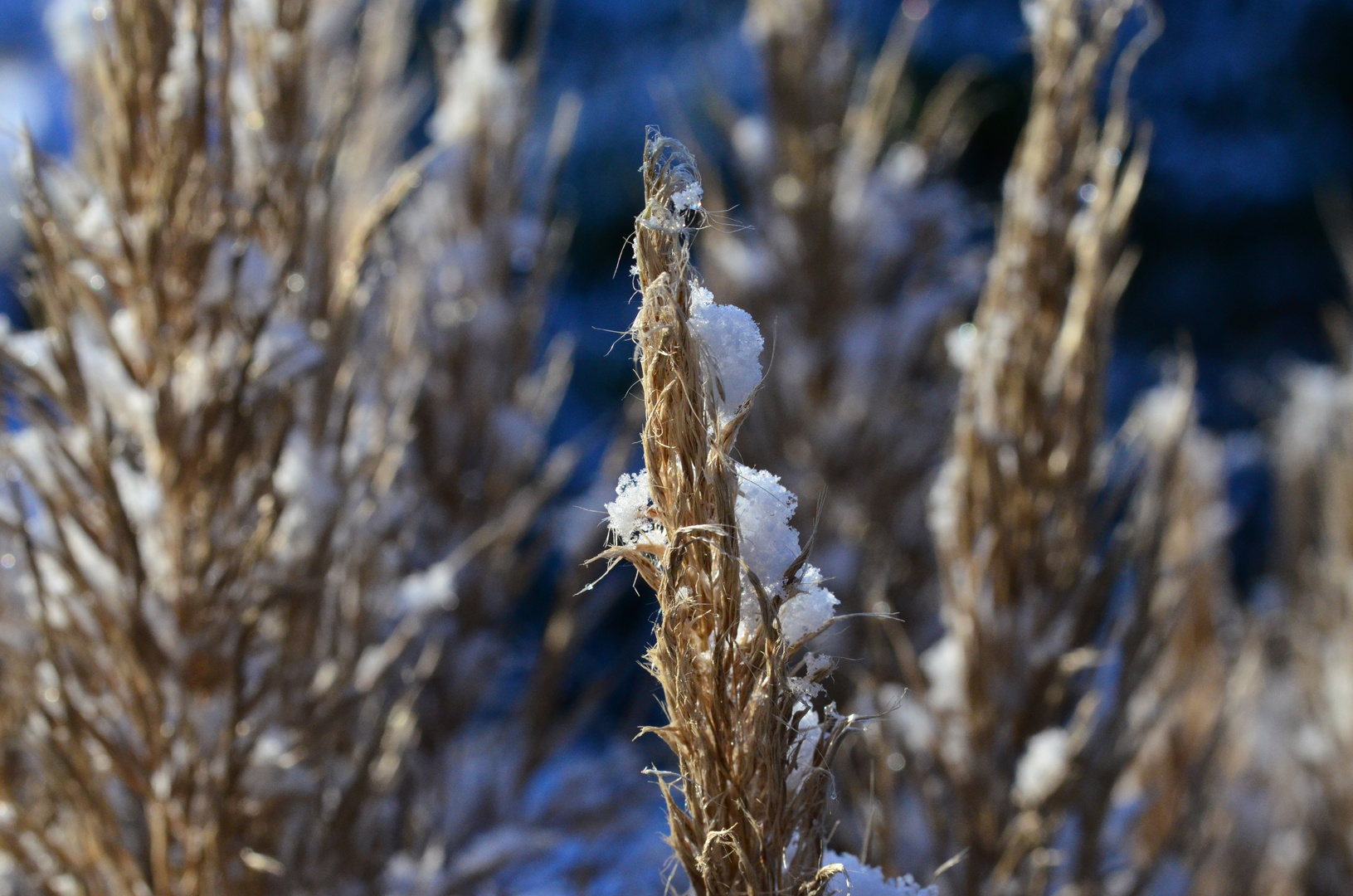 Winter kann schön sein