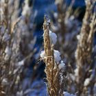 Winter kann schön sein