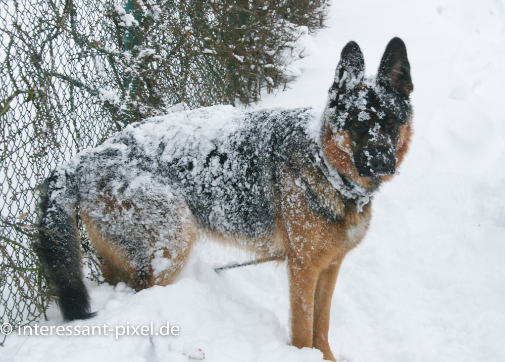 Winter kann so Schön sein