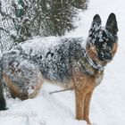 Winter kann so Schön sein