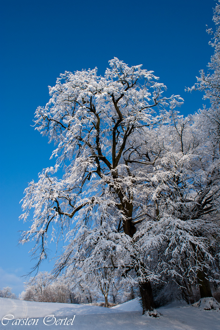 Winter kann so schön sein