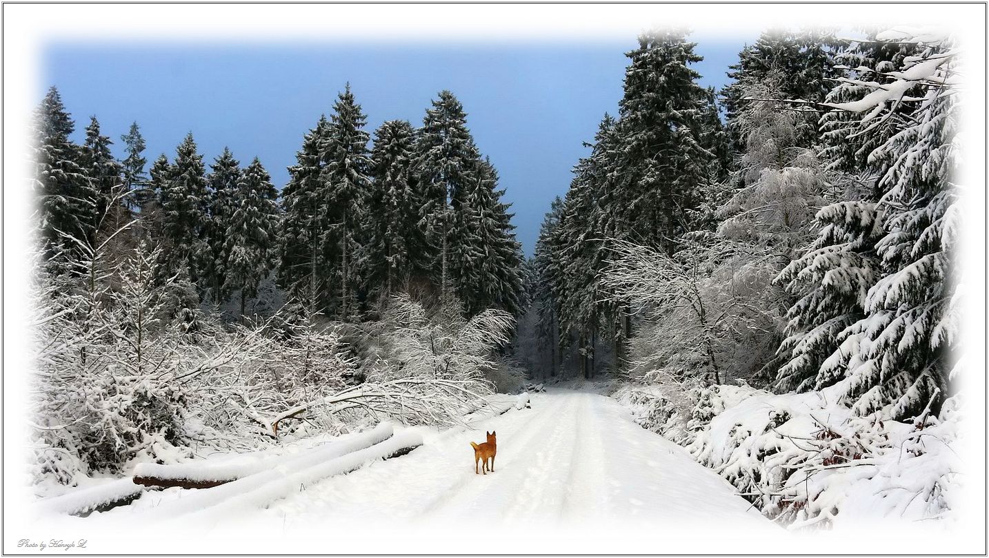 Winter kann so schön sein.