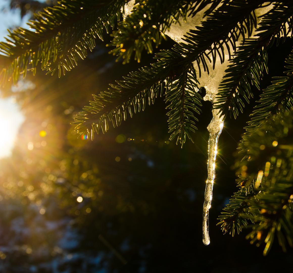 Winter kann so schön sein.....