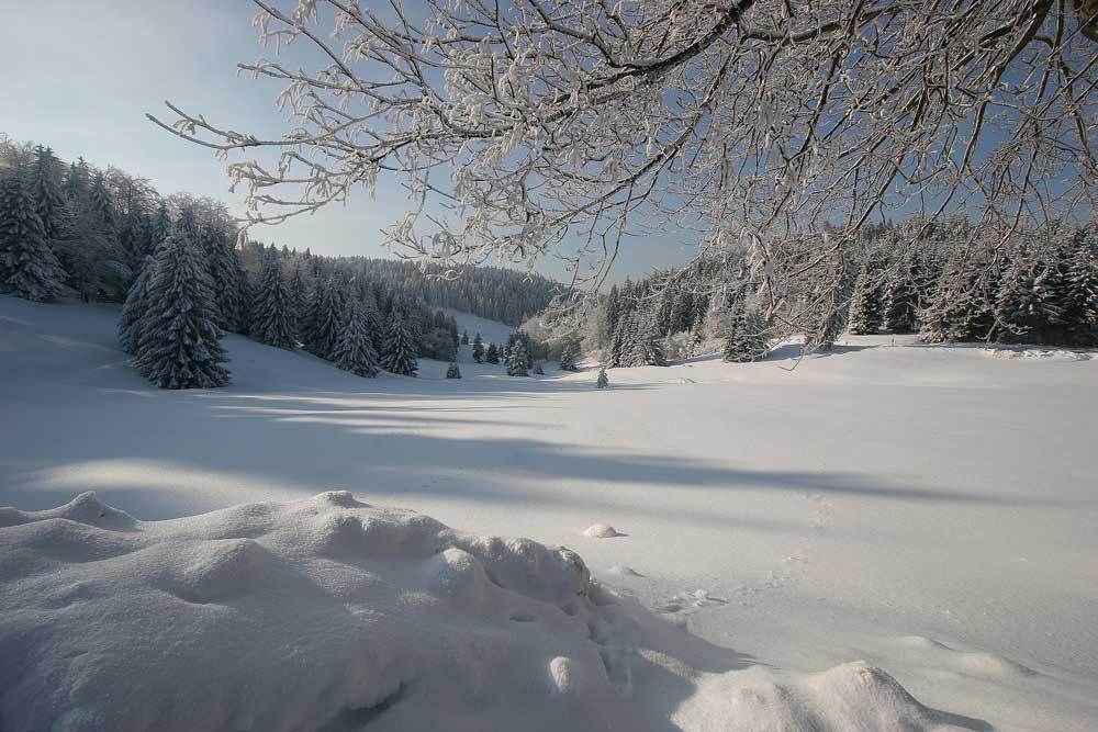 Winter kann so schön sein ...