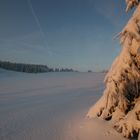 Winter kann so schön sein II