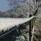 Winter kann so schön wirken wenn er denn mal darf