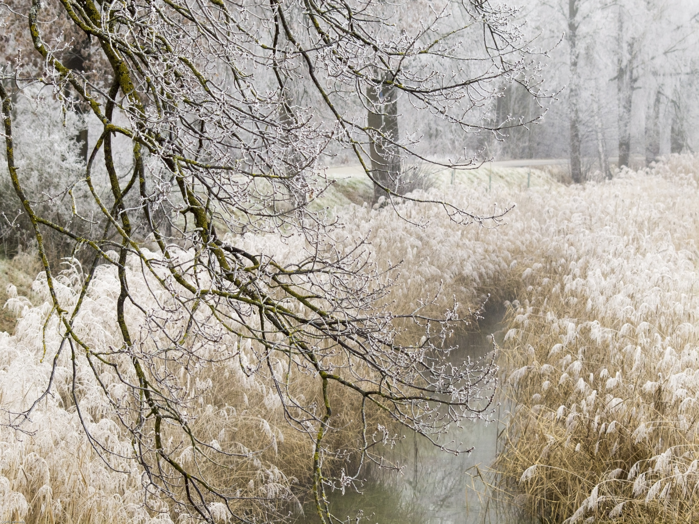 Winter kommt...