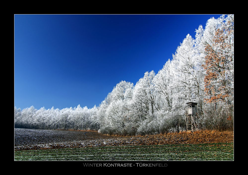 Winter Kontraste